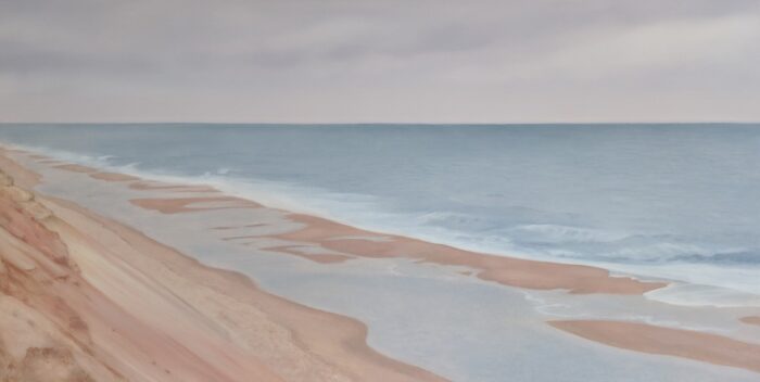 Birds Eye View | 24"x48" | Oil on Linen