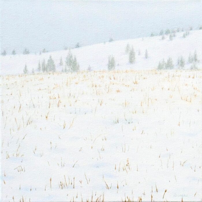 Chief Joseph | 12"x12" | Oil on Canvas