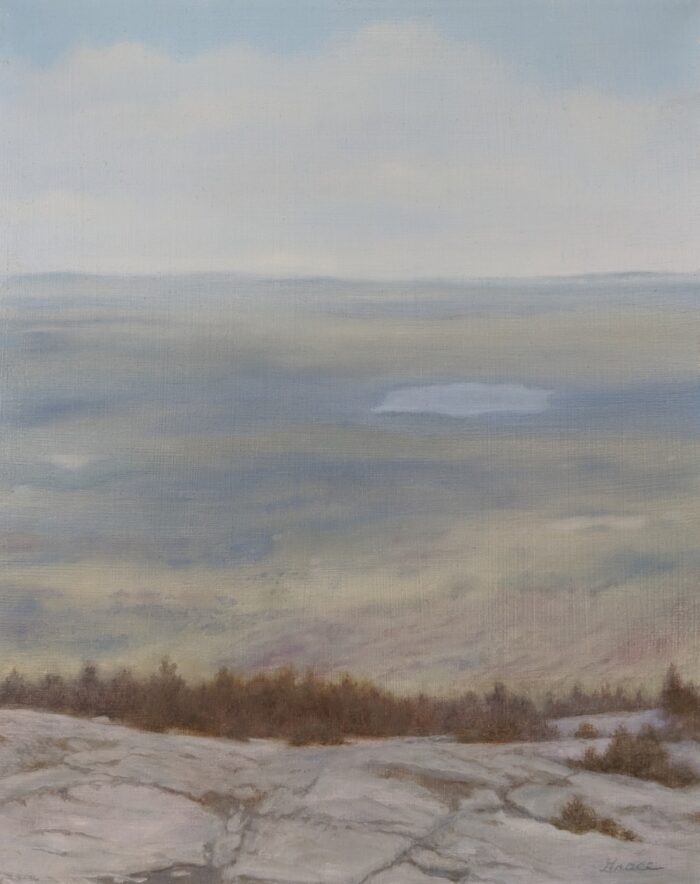 Kearsarge Summit | 10"x8" | Oil on Panel