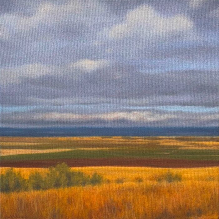 Rolling Fields | 12"x12" | Oil on Canvas